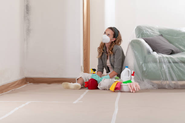 Reliable Mold Remediation contractor in Johnstown, PA by WQB Mold Removal
